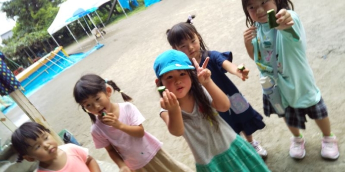 キュウリ見つけた!